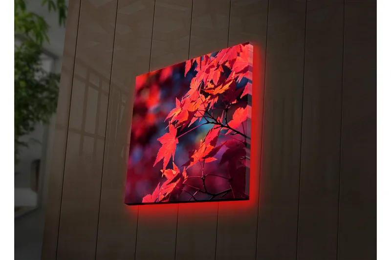 Canvas-taulu LED-valaistuksella 28x28 cm - Kirkkaanpunainen vaahteranlehti syksyn väreissä, Punainen / Oranssi / Tummansininen