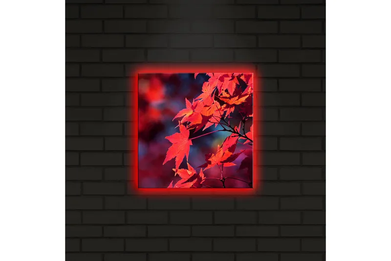 Canvas-taulu LED-valaistuksella 28x28 cm - Kirkkaanpunainen vaahteranlehti syksyn väreissä - Punainen / Oranssi / Tummansininen - Sisustustuotteet - Taulu & taide - Canvas-taulu