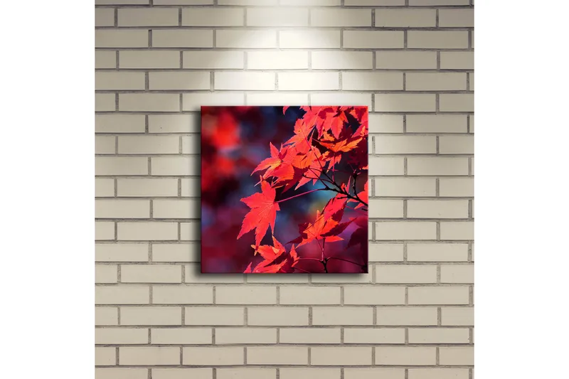 Canvas-taulu LED-valaistuksella 28x28 cm - Kirkkaanpunainen vaahteranlehti syksyn väreissä - Punainen / Oranssi / Tummansininen - Sisustustuotteet - Taulu & taide - Canvas-taulu