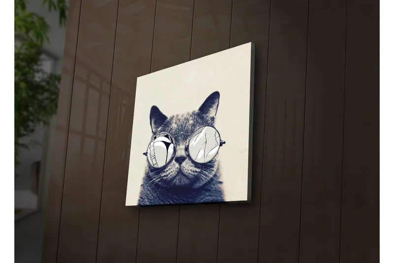 Canvas-taulu LED-valaistuksella 28x28 cm - Kissa aurinkolaseissa, Harmaa / Valkoinen / Musta