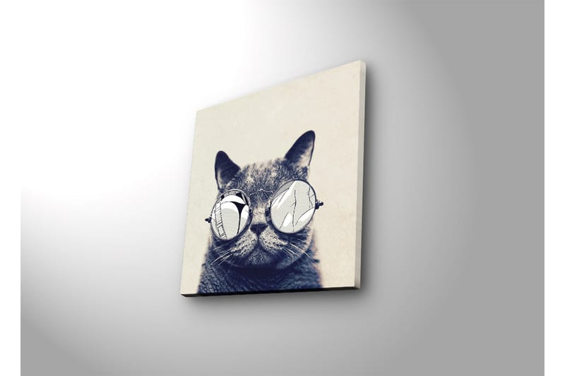 Canvas-taulu LED-valaistuksella 28x28 cm - Kissa aurinkolaseissa - Harmaa / Valkoinen / Musta - Sisustustuotteet - Taulu & taide - Canvas-taulu