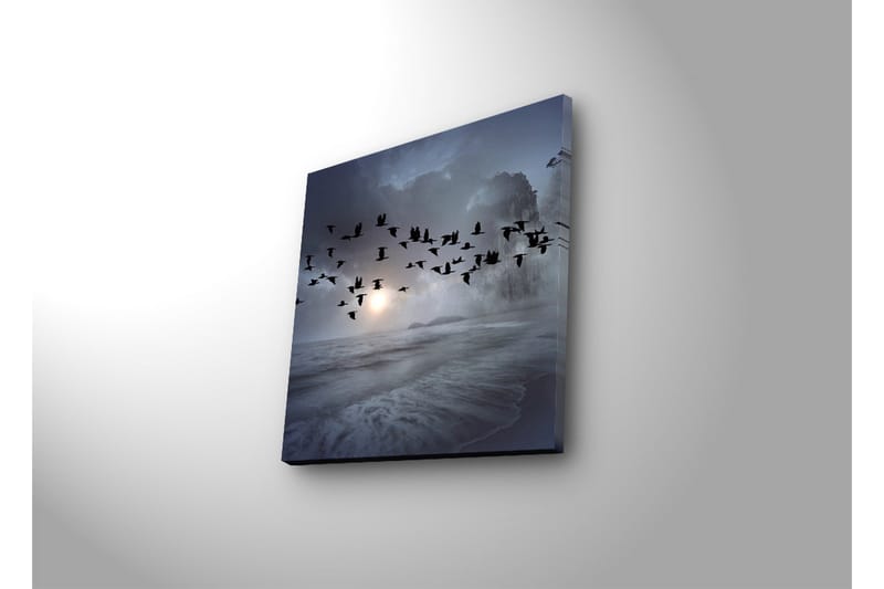 Canvas-taulu LED-valaistuksella 28x28 cm - Lintuparvi lentää sumuisen merimaiseman yllä - Tummansininen / Harmaa / Valkoinen - Sisustustuotteet - Taulu & taide - Canvas-taulu