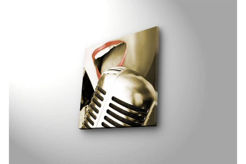 Canvas-taulu LED-valaistuksella 28x28 cm - Mikrofoni, jossa laulajan suu tarkennettuna - Hopea / Punainen / Musta - Sisustustuotteet - Taulu & taide - Canvas-taulu