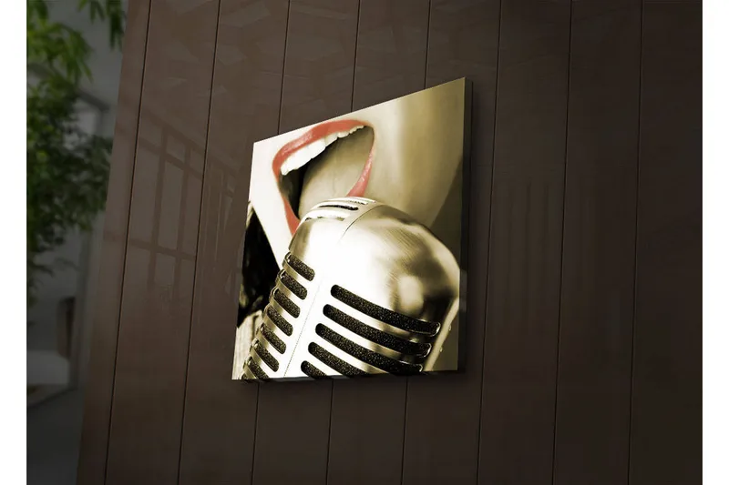 Canvas-taulu LED-valaistuksella 28x28 cm - Mikrofoni, jossa laulajan suu tarkennettuna, Hopea / Punainen / Musta