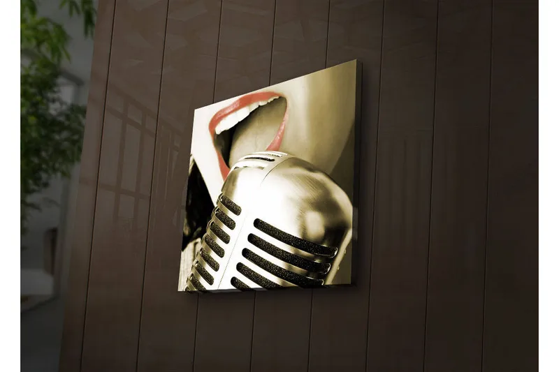 Canvas-taulu LED-valaistuksella 28x28 cm - Mikrofoni, jossa laulajan suu tarkennettuna - Hopea / Punainen / Musta - Sisustustuotteet - Taulu & taide - Canvas-taulu