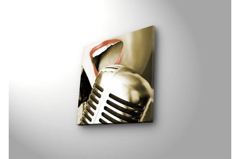 Canvas-taulu LED-valaistuksella 28x28 cm - Mikrofoni, jossa laulajan suu tarkennettuna - Hopea / Punainen / Musta - Sisustustuotteet - Taulu & taide - Canvas-taulu