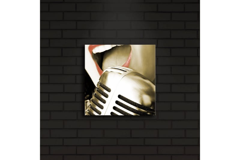 Canvas-taulu LED-valaistuksella 28x28 cm - Mikrofoni, jossa laulajan suu tarkennettuna - Hopea / Punainen / Musta - Sisustustuotteet - Taulu & taide - Canvas-taulu