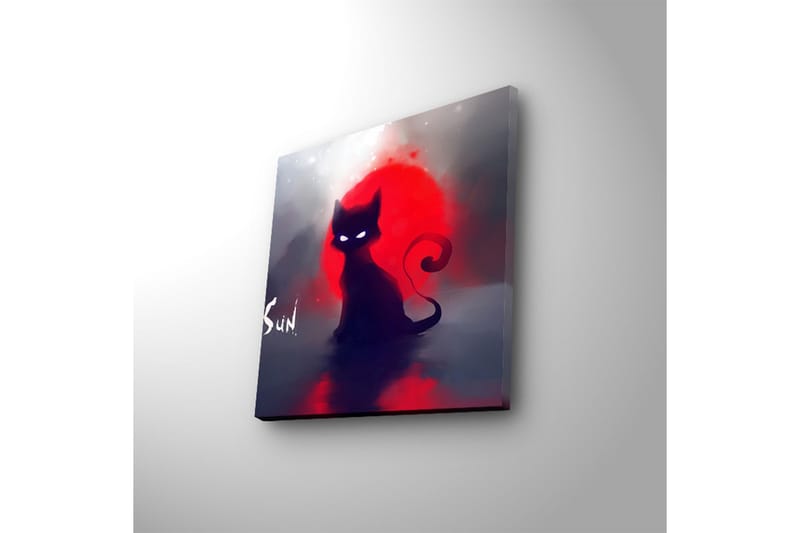 Canvas-taulu LED-valaistuksella 28x28 cm - Musta kissa punaista auringonlaskua vasten - Musta / Punainen / Harmaa - Sisustustuotteet - Taulu & taide - Canvas-taulu