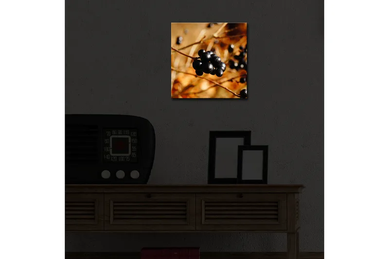 Canvas-taulu LED-valaistuksella 28x28 cm - Mustamarjaterttu kultaisella taustalla - Musta / Kullanruskea - Sisustustuotteet - Taulu & taide - Canvas-taulu