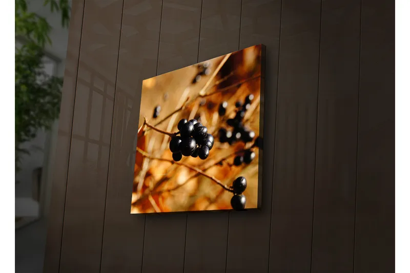 Canvas-taulu LED-valaistuksella 28x28 cm - Mustamarjaterttu kultaisella taustalla, Musta / Kullanruskea