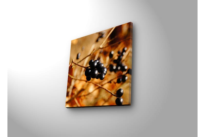Canvas-taulu LED-valaistuksella 28x28 cm - Mustamarjaterttu kultaisella taustalla - Musta / Kullanruskea - Sisustustuotteet - Taulu & taide - Canvas-taulu