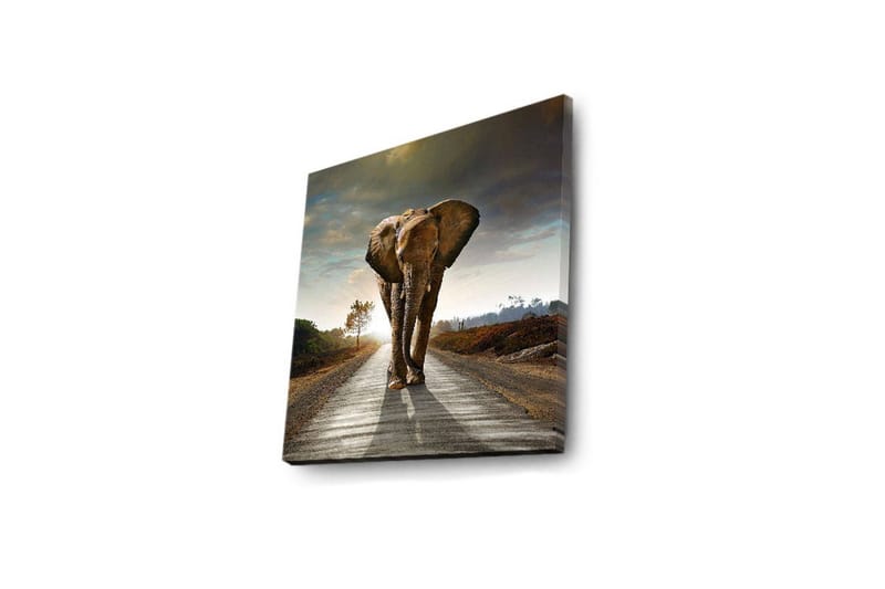 Canvas-taulu LED-valaistuksella 28x28 cm - Norsu kävelee tietä pitkin auringonlaskun aikaan - Harmaa / Ruskea / Oranssi - Sisustustuotteet - Taulu & taide - Canvas-taulu