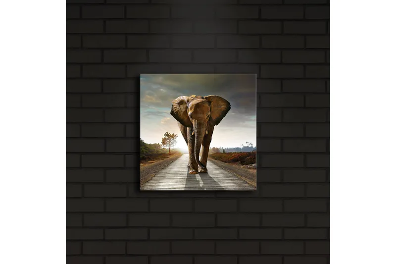 Canvas-taulu LED-valaistuksella 28x28 cm - Norsu kävelee tietä pitkin auringonlaskun aikaan - Harmaa / Ruskea / Oranssi - Sisustustuotteet - Taulu & taide - Canvas-taulu