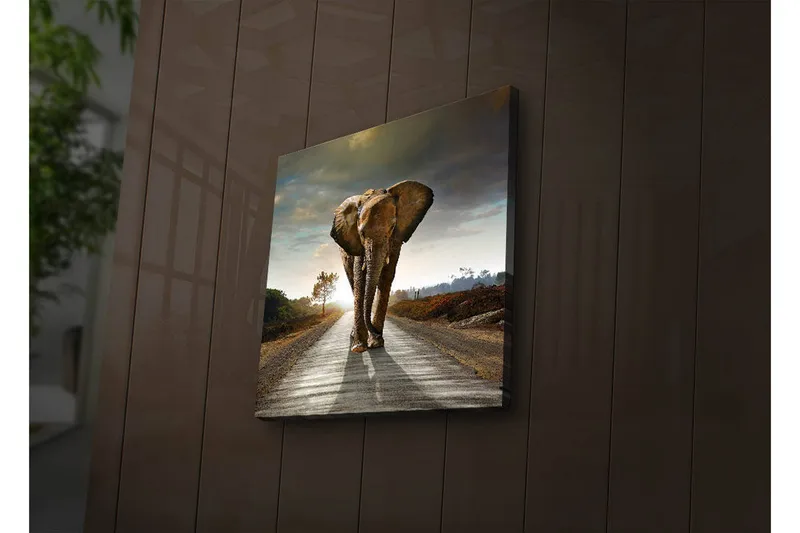 Canvas-taulu LED-valaistuksella 28x28 cm - Norsu kävelee tietä pitkin auringonlaskun aikaan, Harmaa / Ruskea / Oranssi