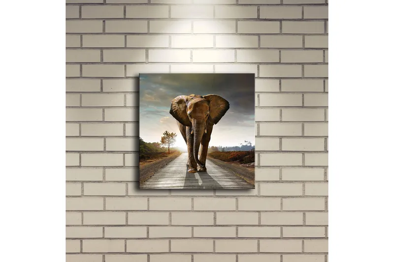 Canvas-taulu LED-valaistuksella 28x28 cm - Norsu kävelee tietä pitkin auringonlaskun aikaan - Harmaa / Ruskea / Oranssi - Sisustustuotteet - Taulu & taide - Canvas-taulu