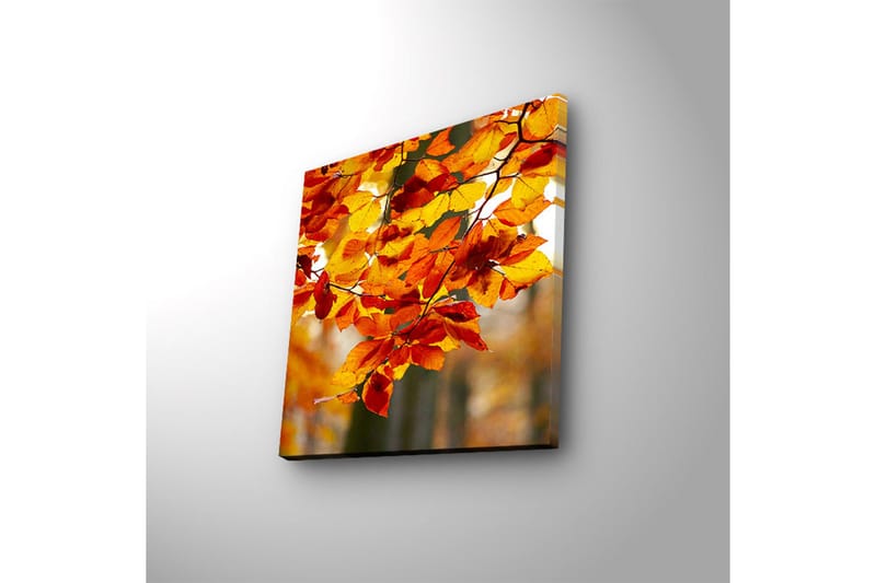 Canvas-taulu LED-valaistuksella 28x28 cm - Syksyn lehdet lämpimissä keltaisen ja oranssin sävyissä - Keltainen / Oranssi / Punainen - Sisustustuotteet - Taulu & taide - Canvas-taulu