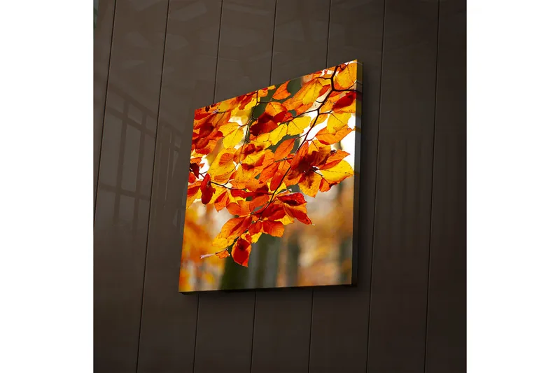 Canvas-taulu LED-valaistuksella 28x28 cm - Syksyn lehdet lämpimissä keltaisen ja oranssin sävyissä, Keltainen / Oranssi / Punainen