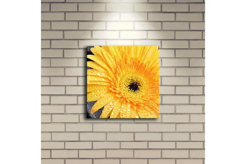 Canvas-taulu LED-valaistuksella 28x28 cm - Upea keltainen gerbera vesipisaroilla - Keltainen / Musta - Sisustustuotteet - Taulu & taide - Canvas-taulu