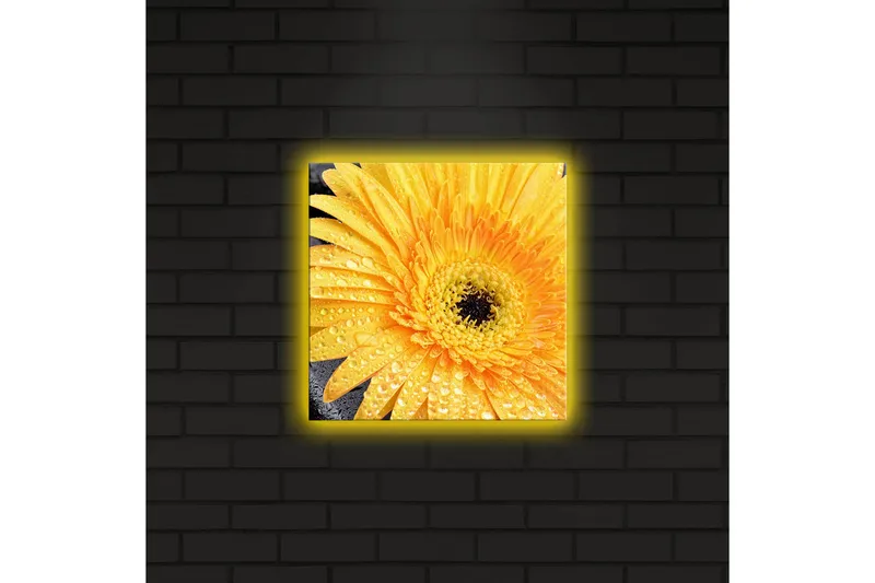 Canvas-taulu LED-valaistuksella 28x28 cm - Upea keltainen gerbera vesipisaroilla - Keltainen / Musta - Sisustustuotteet - Taulu & taide - Canvas-taulu