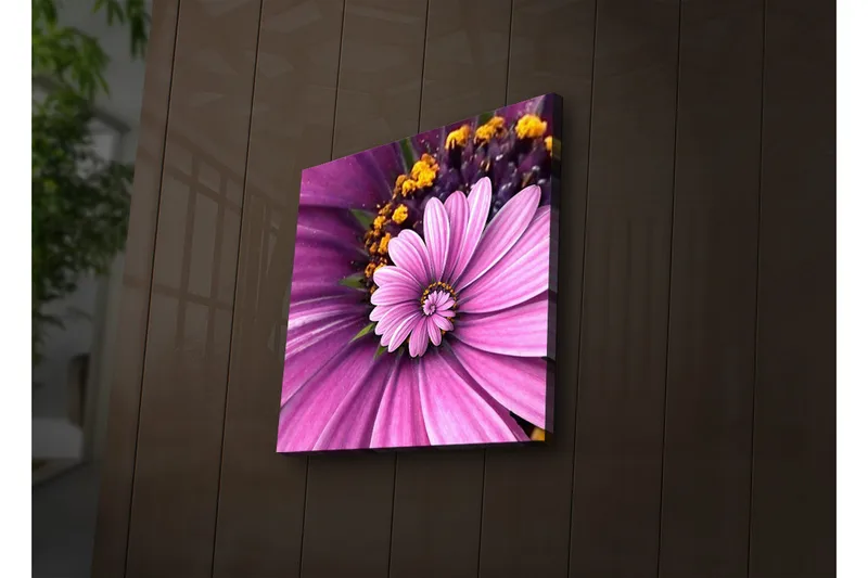 Canvas-taulu LED-valaistuksella 28x28 cm - Värikäs kukka vaaleanpunaisilla ja violeteilla terälehdillä, Vaaleanpunainen / violetti / keltainen
