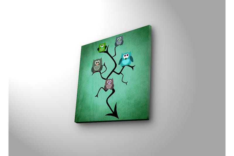 Canvas-taulu LED-valaistuksella 28x28 cm - Värikäs pöllöjen sommitelma oksalla - Vihreä / Sininen / Ruskea - Sisustustuotteet - Taulu & taide - Canvas-taulu