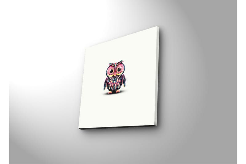 Canvas-taulu LED-valaistuksella 28x28 cm - Värikäs pöllö suurilla silmillä - Violetti / Vihreä / Vaaleanpunainen - Sisustustuotteet - Taulu & taide - Canvas-taulu