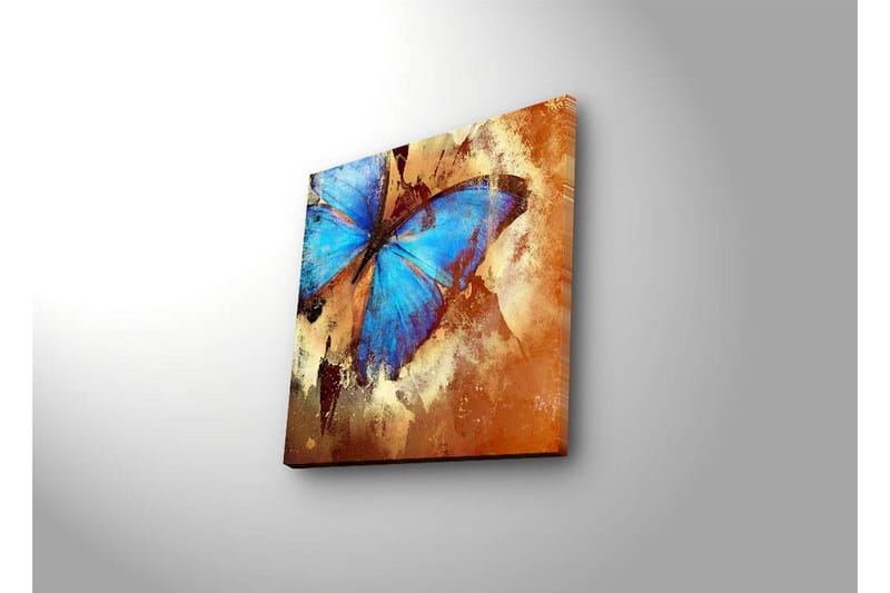 Canvas-taulu LED-valaistuksella 28x28 cm - Värikäs perhonen sinisillä siivillä - Sininen / Oranssi / Beige - Sisustustuotteet - Taulu & taide - Canvas-taulu