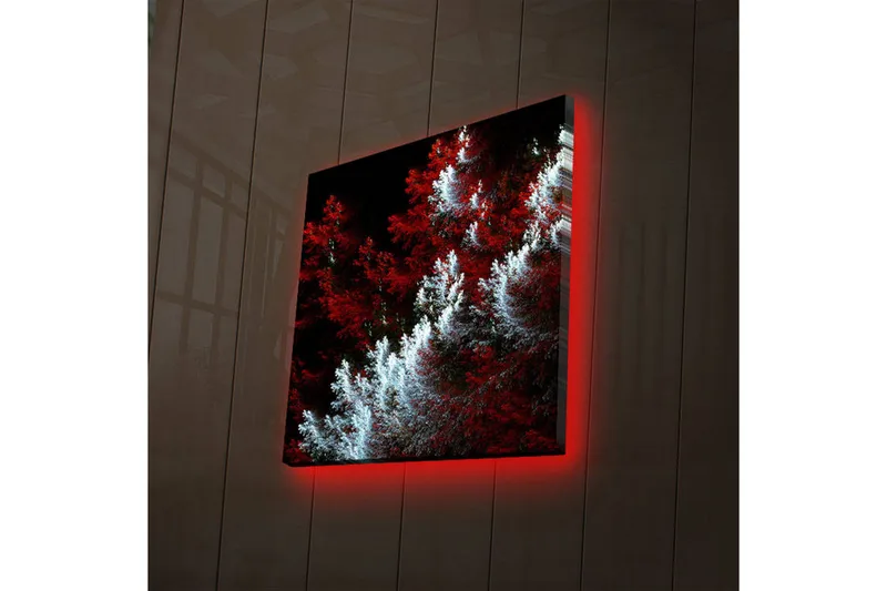 Canvas-taulu LED-valaistuksella 28x28 cm - Vaalea ja tumma metsä punaisilla ja valkoisilla elementeillä, Punainen / Valkoinen