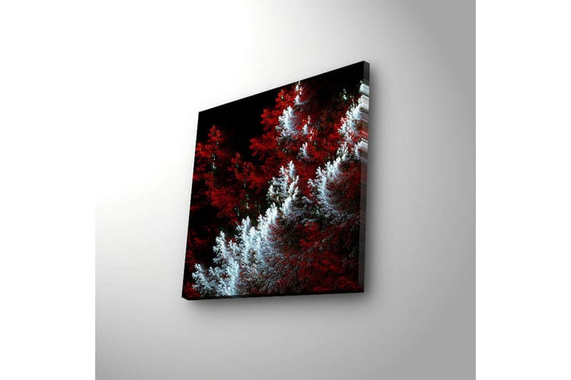 Canvas-taulu LED-valaistuksella 28x28 cm - Vaalea ja tumma metsä punaisilla ja valkoisilla elementeillä - Punainen / Valkoinen - Sisustustuotteet - Taulu & taide - Canvas-taulu