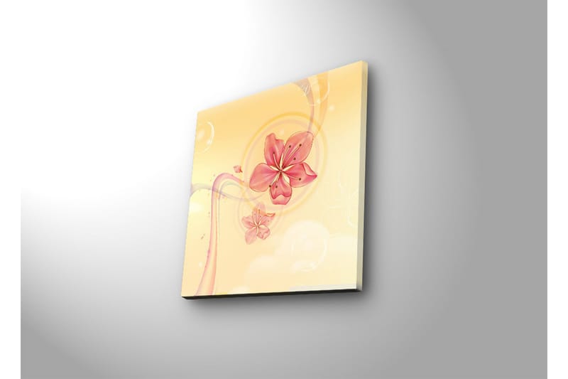 Canvas-taulu LED-valaistuksella 28x28 cm - Vaaleanpunaiset kukat pehmeässä ja kirkkaassa sommitelmassa - Vaaleanpunainen / Keltainen / Beige - Sisustustuotteet - Taulu & taide - Canvas-taulu