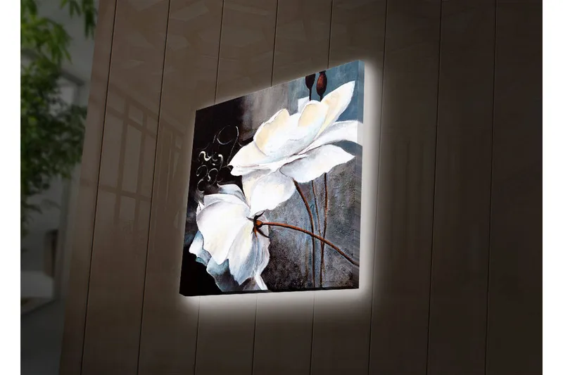 Canvas-taulu LED-valaistuksella 28x28 cm - Valkoisia kukkia eleganteilla yksityiskohdilla, Valkoinen / Harmaa / Ruskea
