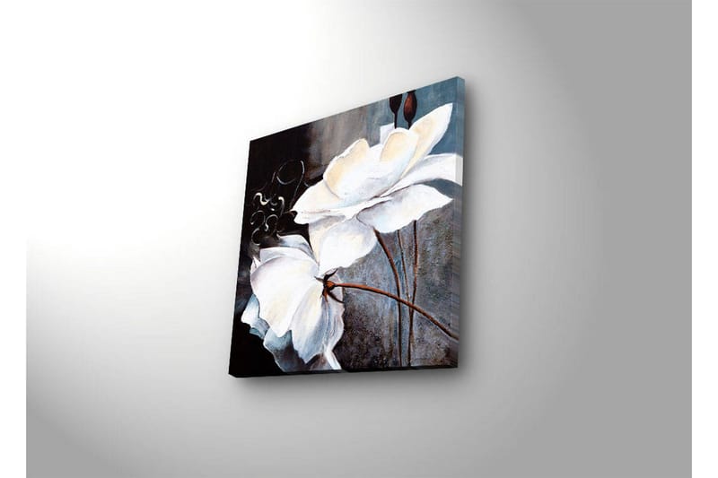 Canvas-taulu LED-valaistuksella 28x28 cm - Valkoisia kukkia eleganteilla yksityiskohdilla - Valkoinen / Harmaa / Ruskea - Sisustustuotteet - Taulu & taide - Canvas-taulu