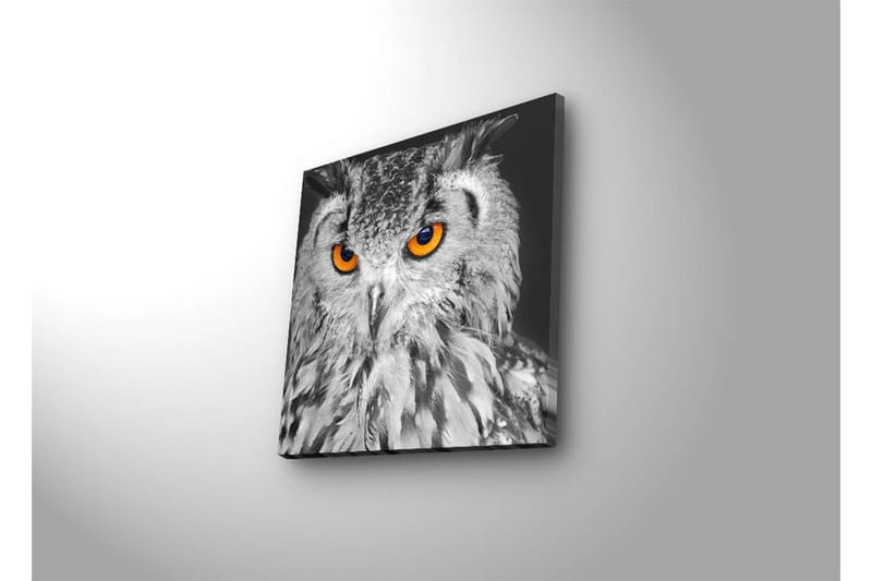 Canvas-taulu LED-valaistuksella 28x28 cm - Pöllö intensiivisen oranssinvärisillä silmillä - Musta / Oranssi - Sisustustuotteet - Taulu & taide - Canvas-taulu