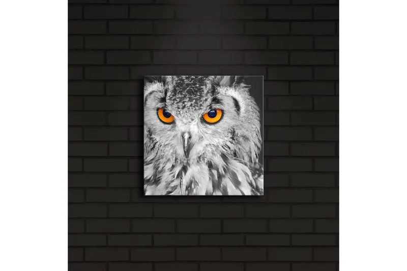 Canvas-taulu LED-valaistuksella 28x28 cm - Pöllö intensiivisen oranssinvärisillä silmillä - Musta / Oranssi - Sisustustuotteet - Taulu & taide - Canvas-taulu
