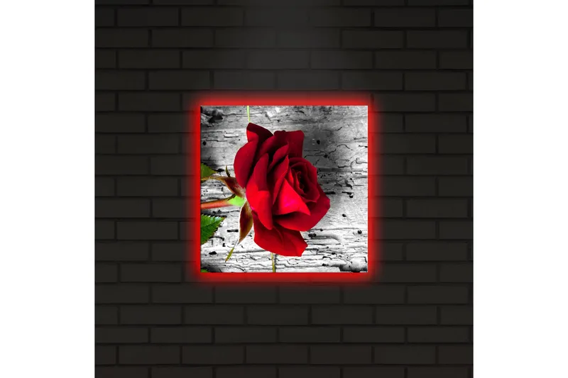 Canvas-taulu LED-valaistuksella 28x28 cm - Punainen ruusu harmaata puutaustaa vasten - Punainen / Harmaa / Vihreä - Sisustustuotteet - Taulu & taide - Canvas-taulu
