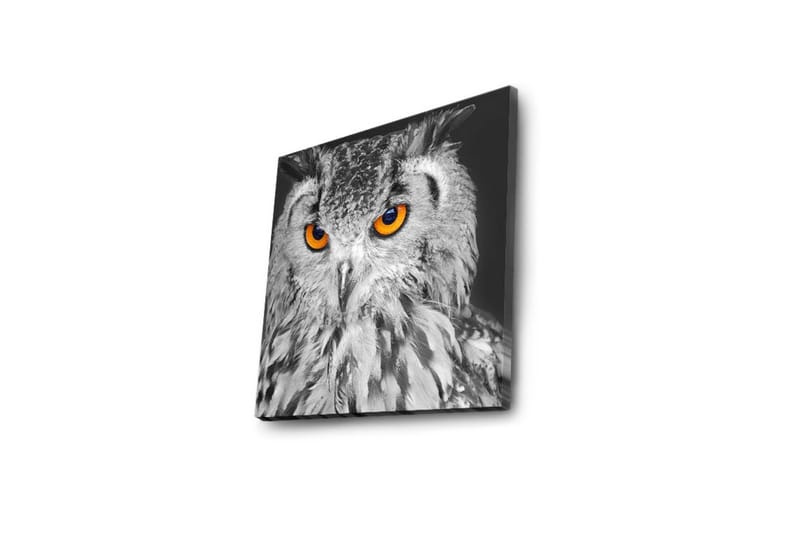 Canvas-taulu LED-valaistuksella 28x28 cm - Pöllö intensiivisen oranssinvärisillä silmillä - Musta / Oranssi - Sisustustuotteet - Taulu & taide - Canvas-taulu