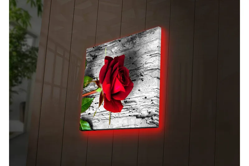 Canvas-taulu LED-valaistuksella 28x28 cm - Punainen ruusu harmaata puutaustaa vasten, Punainen / Harmaa / Vihreä