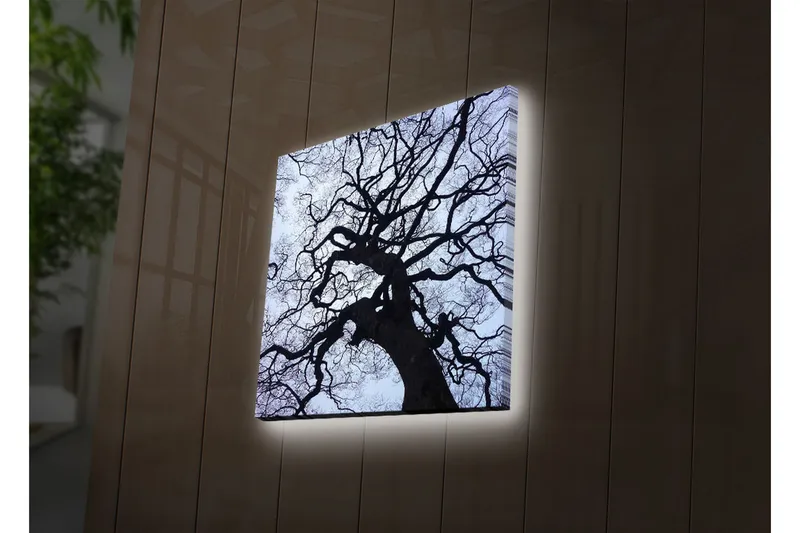 Canvas-taulu LED-valaistuksella 28x28 cm - Puun siluetti vaaleaa taustaa vasten - Musta / Sininen / Valkoinen - Sisustustuotteet - Taulu & taide - Canvas-taulu