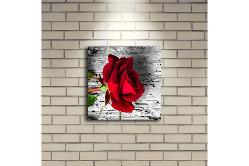 Canvas-taulu LED-valaistuksella 28x28 cm - Punainen ruusu harmaata puutaustaa vasten - Punainen / Harmaa / Vihreä - Sisustustuotteet - Taulu & taide - Canvas-taulu