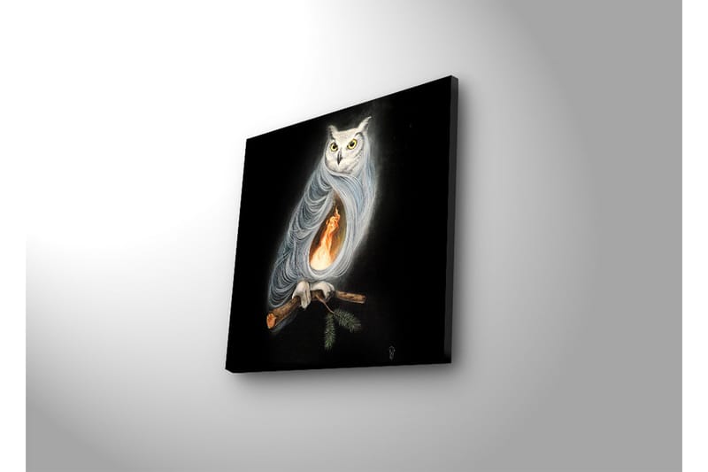 Canvas-taulu LED-valaistuksella 28x28 cm - Pöllö ja tuli ruumiinsa sisällä - Musta / Valkoinen / Oranssi - Sisustustuotteet - Taulu & taide - Canvas-taulu