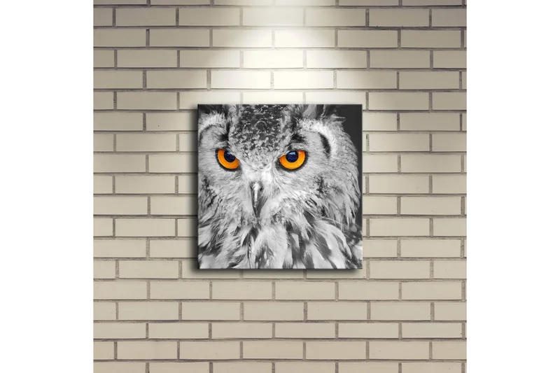 Canvas-taulu LED-valaistuksella 28x28 cm - Pöllö intensiivisen oranssinvärisillä silmillä - Musta / Oranssi - Sisustustuotteet - Taulu & taide - Canvas-taulu