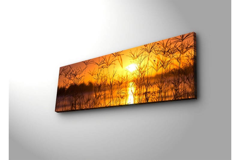 Canvas-taulu LED-valaistuksella 30x90 cm - Auringonlasku peilimäisen järven yllä, etualalla ruohoa - Oranssi / Kulta / Musta - Sisustustuotteet - Taulu & taide - Canvas-taulu