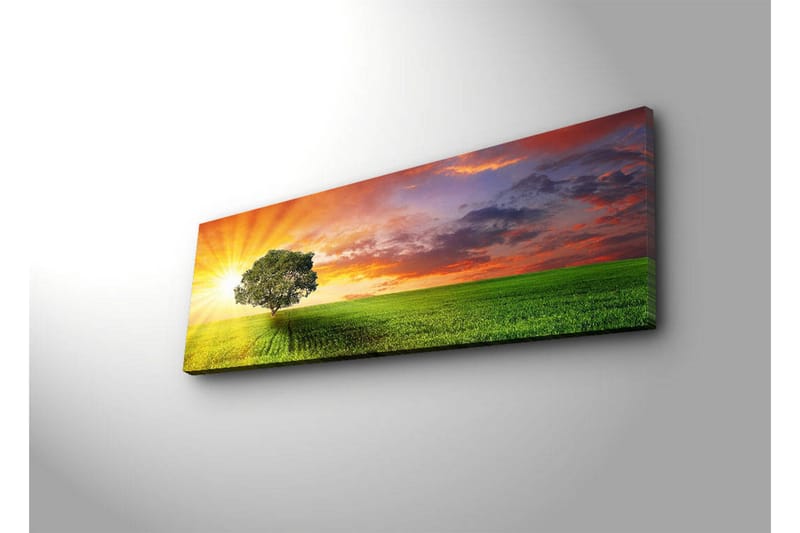 Canvas-taulu LED-valaistuksella 30x90 cm - Auringonnousu vihreän niityn yllä yksinäisen puun kanssa - Vihreä / Oranssi / Sininen - Sisustustuotteet - Taulu & taide - Canvas-taulu
