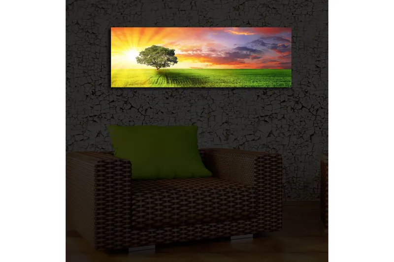 Canvas-taulu LED-valaistuksella 30x90 cm - Auringonnousu vihreän niityn yllä yksinäisen puun kanssa - Vihreä / Oranssi / Sininen - Sisustustuotteet - Taulu & taide - Canvas-taulu