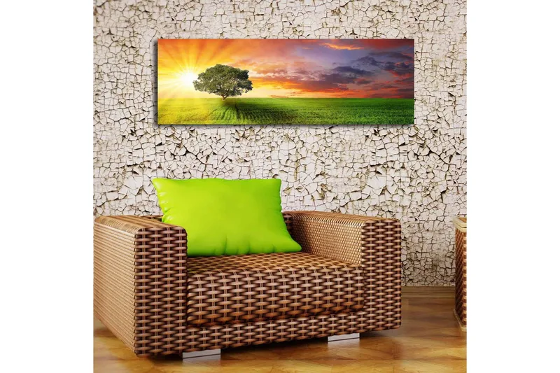 Canvas-taulu LED-valaistuksella 30x90 cm - Auringonnousu vihreän niityn yllä yksinäisen puun kanssa - Vihreä / Oranssi / Sininen - Sisustustuotteet - Taulu & taide - Canvas-taulu