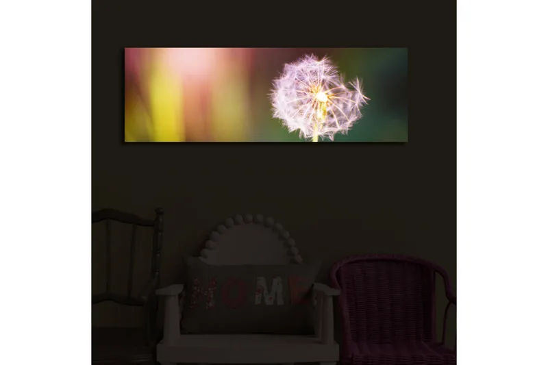 Canvas-taulu LED-valaistuksella 30x90 cm - Höyhenmäinen voikukka pehmeillä värisiirtymillä - Violetti / Keltainen / Vihreä - Sisustustuotteet - Taulu & taide - Canvas-taulu