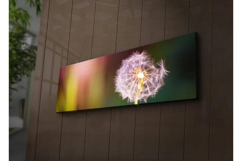 Canvas-taulu LED-valaistuksella 30x90 cm - Höyhenmäinen voikukka pehmeillä värisiirtymillä, Violetti / Keltainen / Vihreä