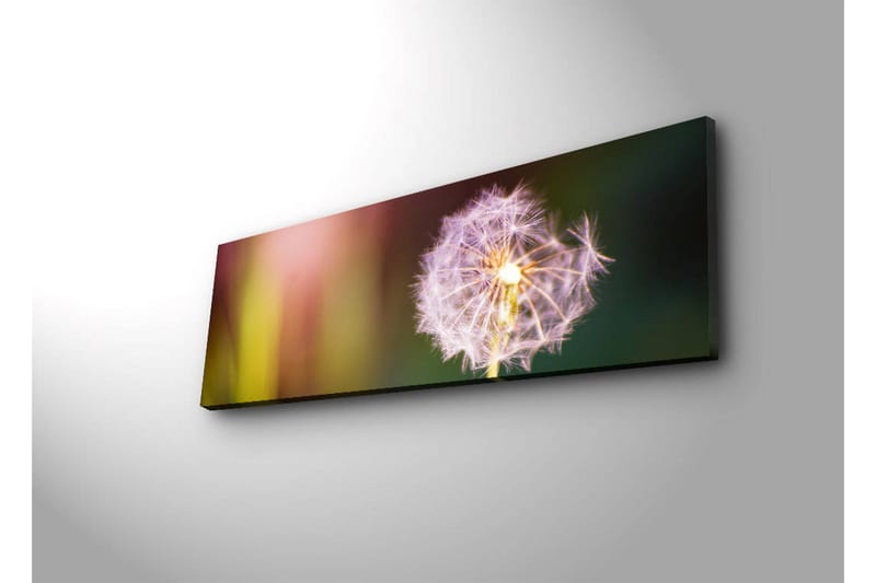 Canvas-taulu LED-valaistuksella 30x90 cm - Höyhenmäinen voikukka pehmeillä värisiirtymillä - Violetti / Keltainen / Vihreä - Sisustustuotteet - Taulu & taide - Canvas-taulu