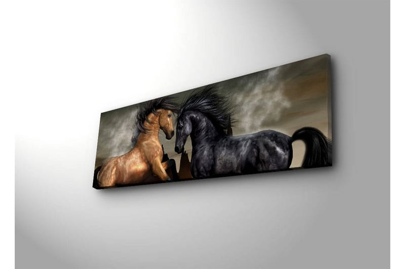 Canvas-taulu LED-valaistuksella 30x90 cm - Kaksi hevosta kohtaavat voimakkaassa ja dramaattisessa sommitelmassa - Kulta / Musta / Harmaa - Sisustustuotteet - Taulu & taide - Canvas-taulu