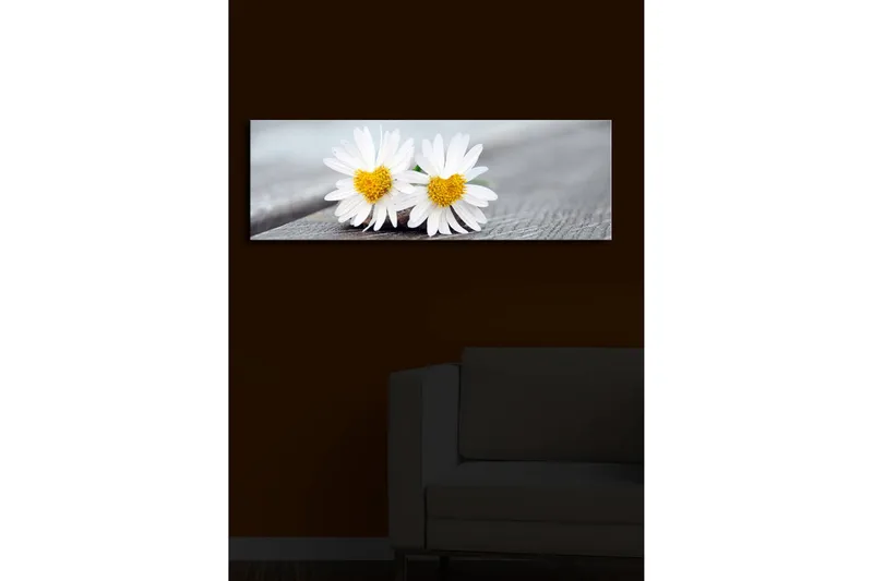 Canvas-taulu LED-valaistuksella 30x90 cm - Kaksi valkoista päivänkakkaraa keltaisilla keskiosilla - Valkoinen / Keltainen - Sisustustuotteet - Taulu & taide - Canvas-taulu